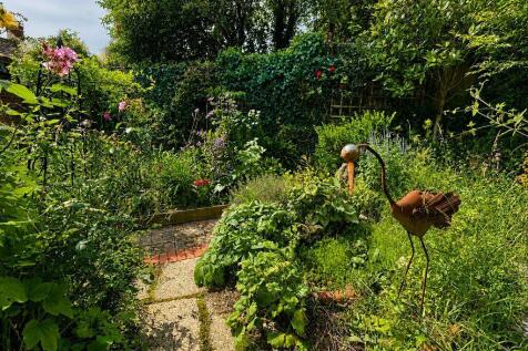 46 Salisbury Street_Garden3