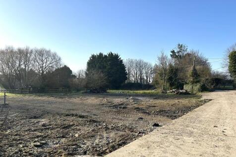 IMG_4731 Edited.JPEG