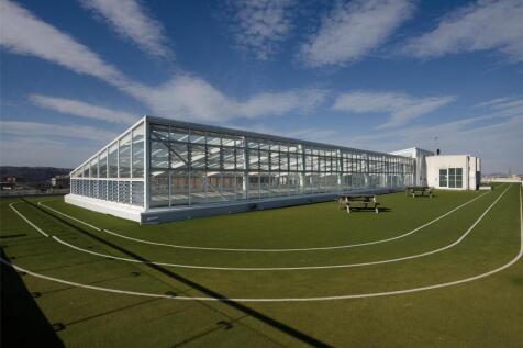 \\172.24.32.4\enterp