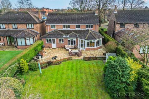 tlc_ac03565b-95aa-407b-a41c-bc5599b74175_90775a5.j