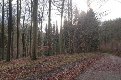 Beautiful wood &amp; walks on your doorstep!
