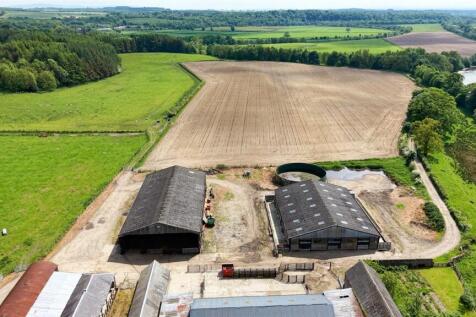 Steading