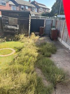 Garden 2.JPG