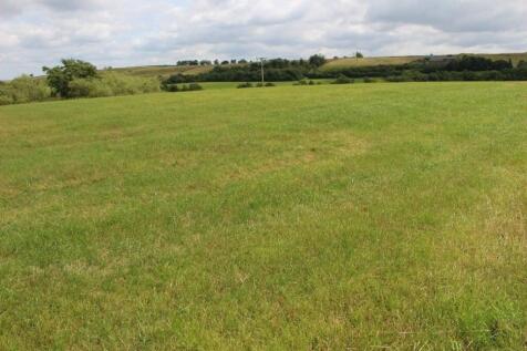 Farm Land for sale Image 5