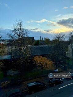 View From Living Room