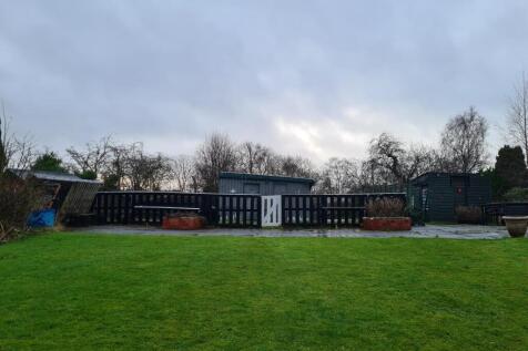 Back Garden