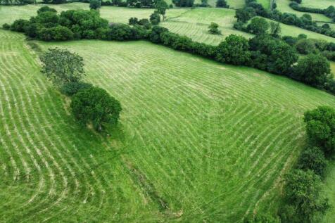 dji_fly_20240709_164100_457_1720539743916_photo_op