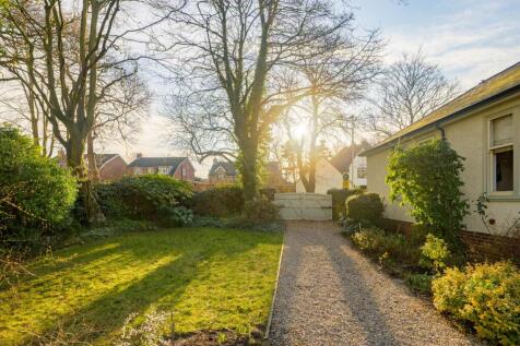 Side garden/driveway 