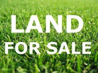 land for sale.jpg