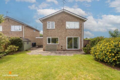 Rear of Property