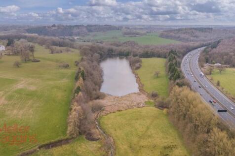 20250321-20250321-DJI_0160-Edit (2).jpg