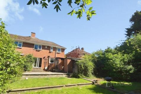 Back Garden