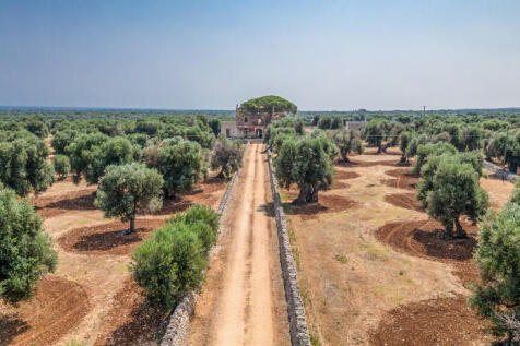 11_MASSERIA ALBERO DOLCE_puglia_raro_realty