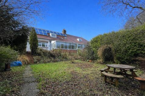 NEW REAR GARDEN.jpg