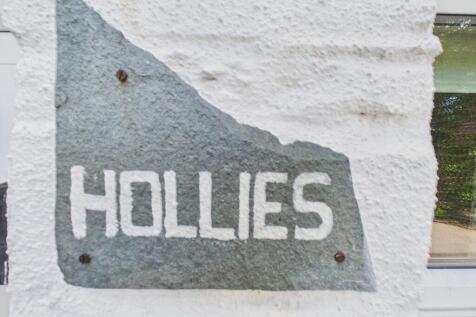 Hollies 