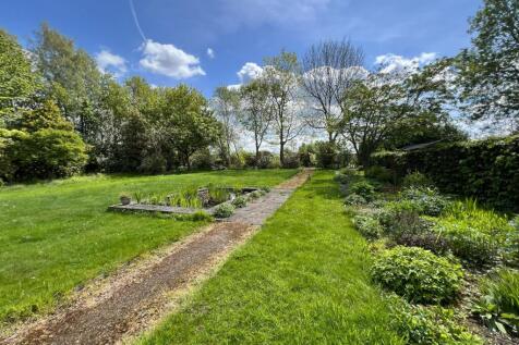 Back garden 2