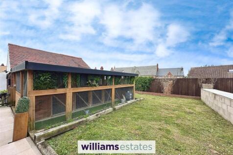 Cattery &amp; Garden