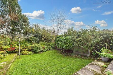 The Rear Garden
