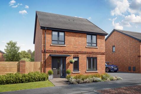 Welcome to The Colford