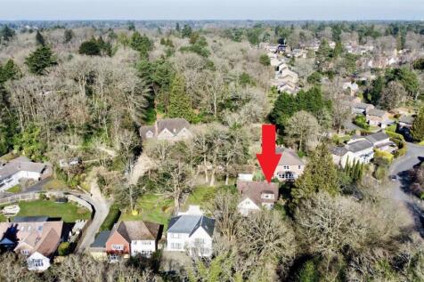 dji_fly_20250304_113336_289_1741093452614_photo_op