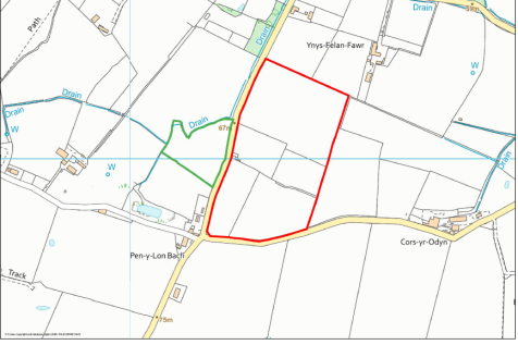 Site plan photo.png