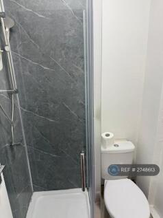 New Shower