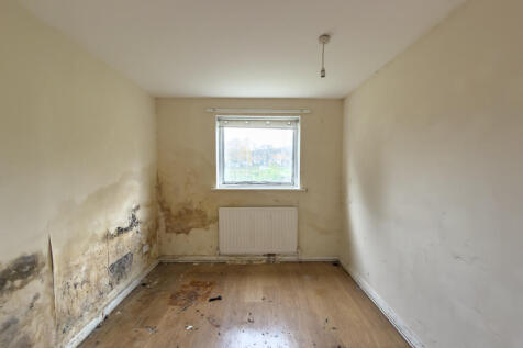 IMG 7447 T202511081225.jpg