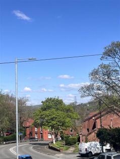IMG_2397.JPG