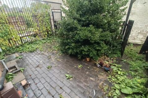 Rear yard