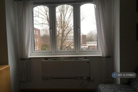 Lounge Window