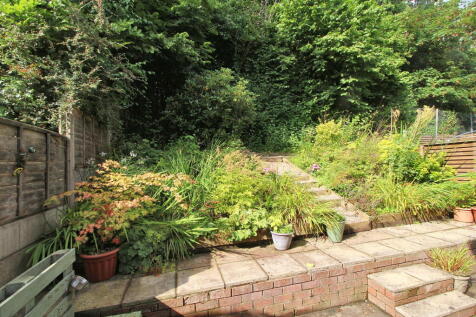 garden_1725359778055