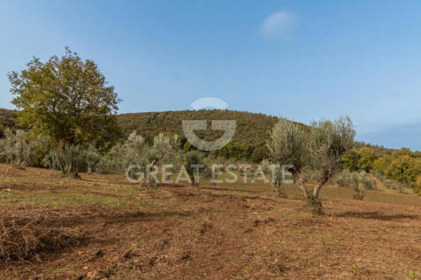 Panorama e Particolari