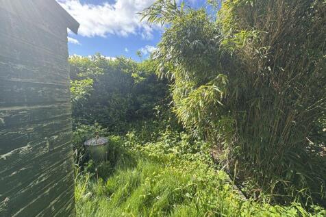 Side Garden