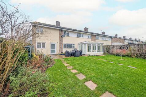 PXL_20260123_102948300.RAW-01 garden.jpg