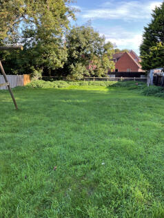 Back garden