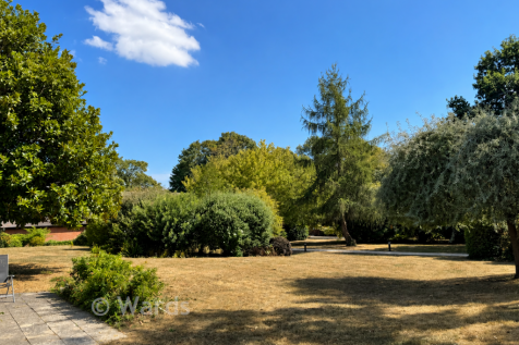 Communal Ground