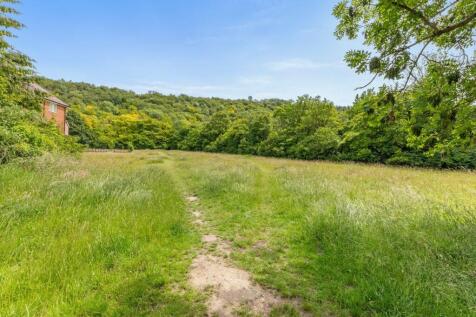 Wendover Woods