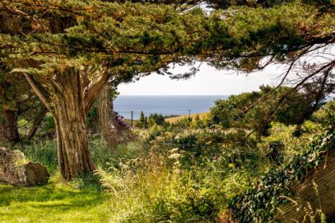 Oaklands_Park_Cornwall-44.jpg
