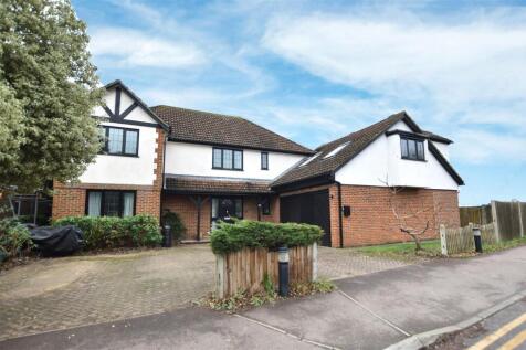 Front option (1).jpeg