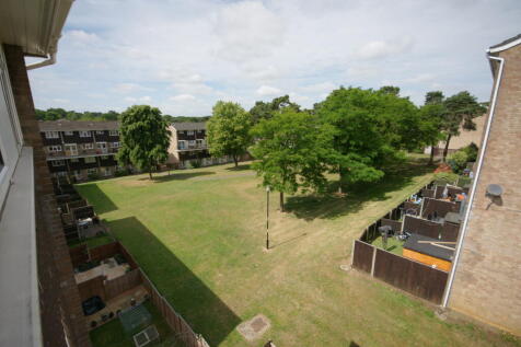 Photo 07