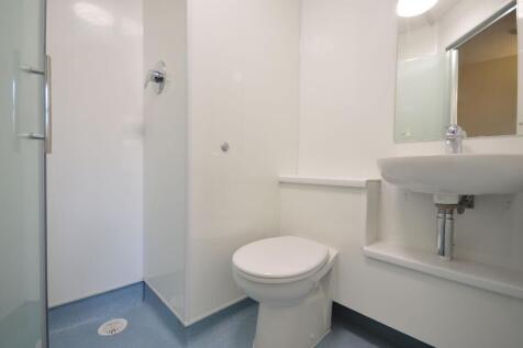 Clean modern ensuite with shower and sink...