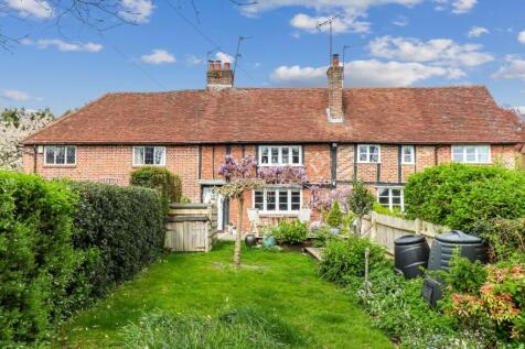 Front garden view