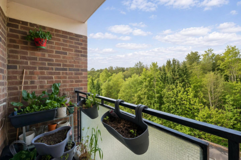 ViewBalcony.png