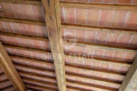 Panorama e Particolari