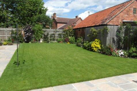 Garden In Summer