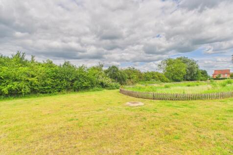 Field views