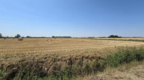 Field Views