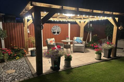 Night time in garden