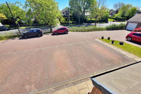 20260430_141026.jpg