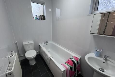 IMG 6706 T202603101537.jpeg